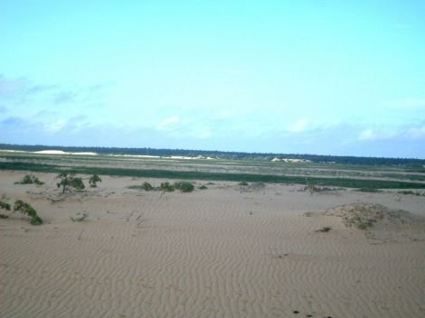 Praia de Patos